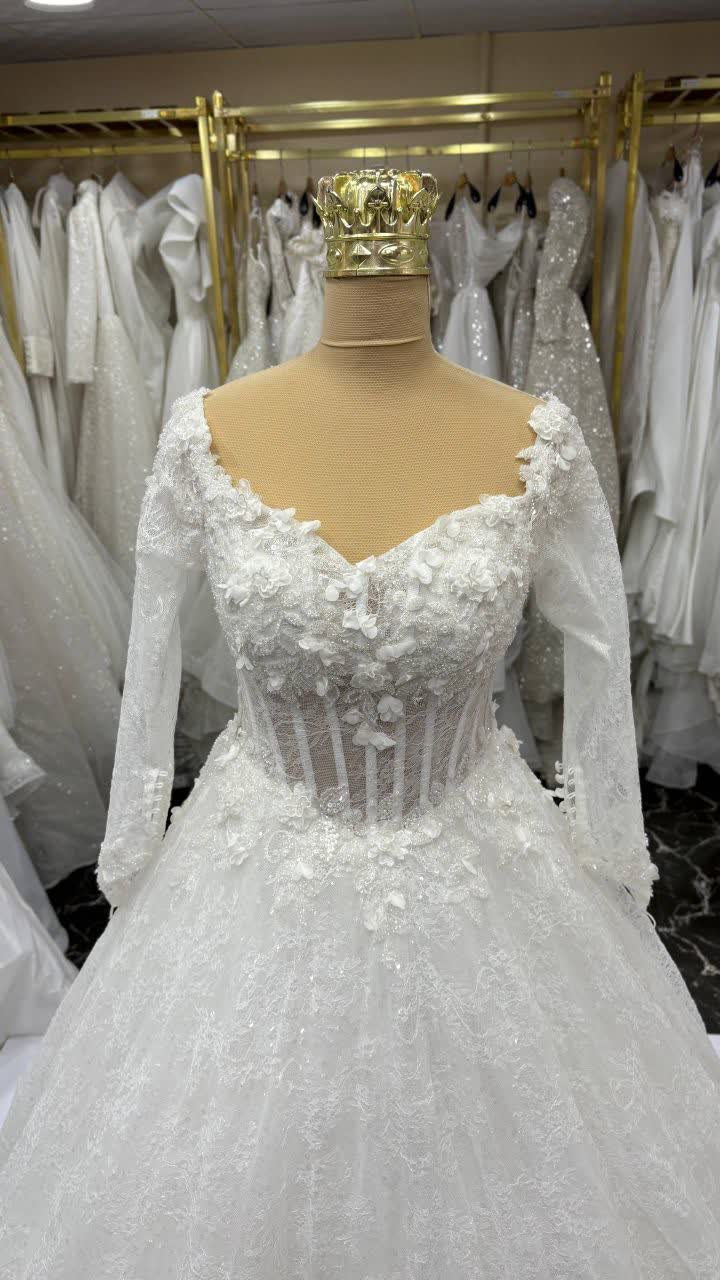 IMG_20251112_185837_026